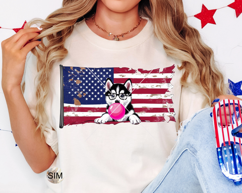 4th Of July PNG, Fourth Of July Husky Blowing A Bubble With Sunglasses PNG, Husky 4th Of July Sublimation, UvDTF Design PnG Download